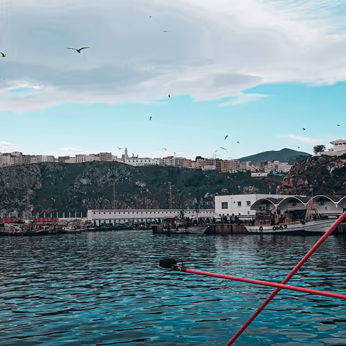 Item #104751124545667098913306888708965695738903687391639164958526519530337920352257 Media