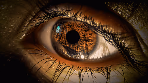 Eye of the dark Night