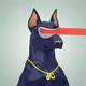 Doberman #009