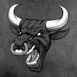 Wrath of The Bull #29