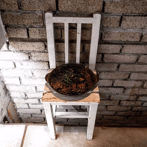 Item #56898950157913093593627224256500170032881666157173615048892704359411733233665 Media