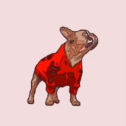 Dogelative Secret Society - NFT Collection - Super Rare L