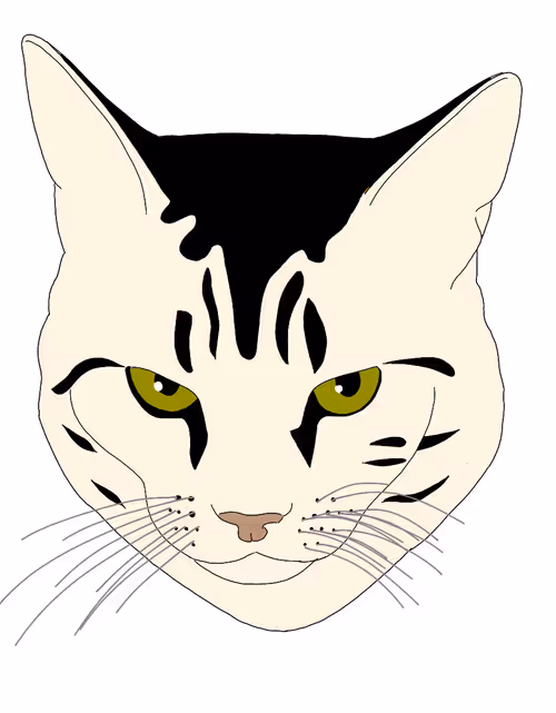 Item #109476089849893856701554107395822483407847062075969256486449400234992285515777 Media