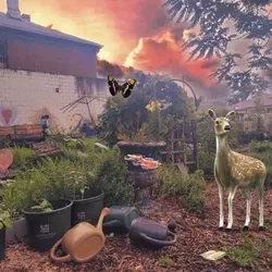 The lost Garden of Paradise