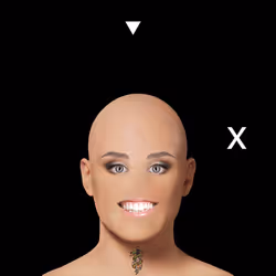 88737702653449128909489654253868271633479664914542938973620633330224648421377