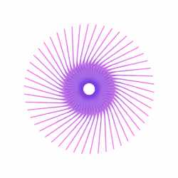 Trip #7 | Rotating Trips