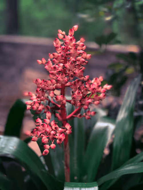 Item #108333172836631629328696584714053398631603269563571358519615745319612754952193 Media