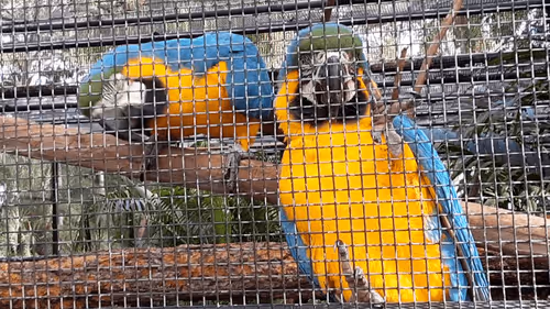 Untitled Collection #18651961