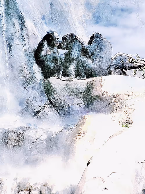 Item #105394010161551018097936078642910549059002323015222353178191529847976364081153 Media