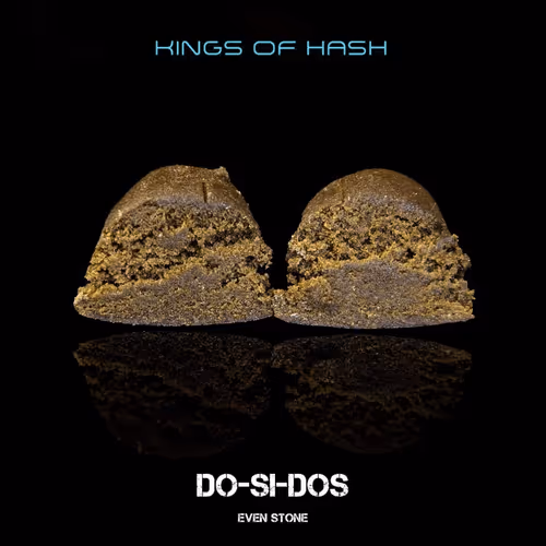 Item #11778203385861347349275345224081259991327063537749380274759322619657104392193 Media