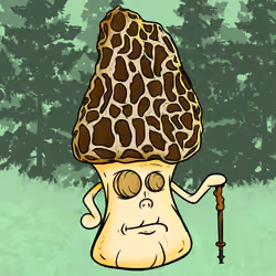 MOREL_TaiFi 97/100