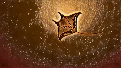 Item #74388721199083954673298778298232823886096642493620239959546432254354495897601 Media