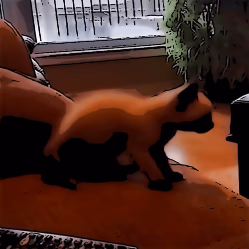 Item #100699266862010265980474664760375873767511284921164942724068626220227426779137 Media