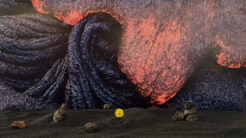 Item #32382354995311206636930955851818118108425029471473268411146207506307615817828 Media