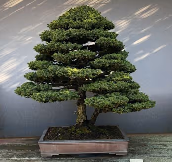 Item #104496985584808197411299000803927756186977529206466580863662692646056118714369 Media