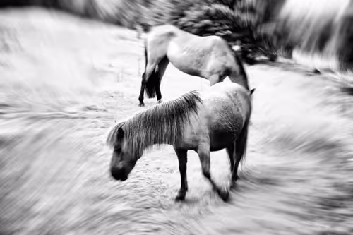 Item #17246773967106427395426250000565453120833818394642551124170626587612690776065 Media