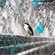 26077321833362398347650066120756450720302100595654980500401376551534808006657