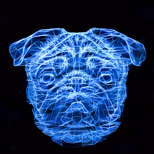 Item #41835371952023020745860012220635076645506524094652361390294664949904219045889 Media