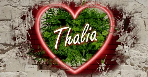 Item #68053287575525751288269231675427811746861684968250582901590729578239485804554 Media