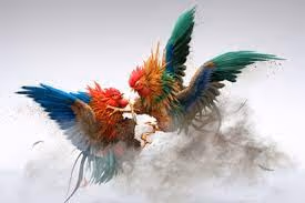 Untitled Collection #55874448