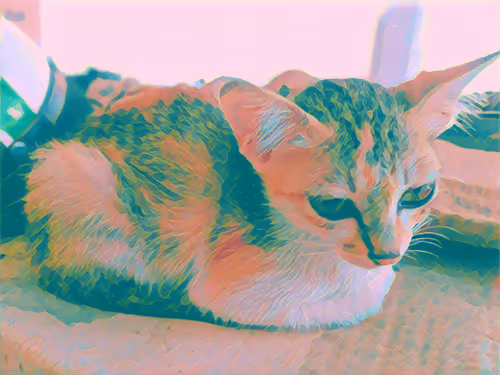 Item #74122138759525378795667626270866148487737655975912799548892276694851822551041 Media