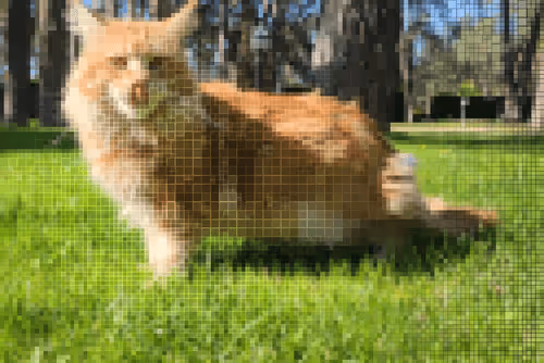 Item #111823987962158685130684126257338001931887706049197263774601980109766338281473 Media