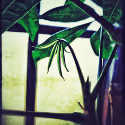 3787080761074609709675817509753112159059746763483256848434353554497873117185