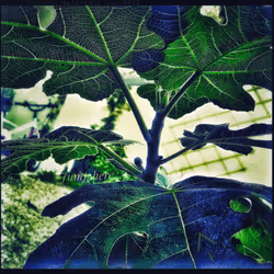 3787080761074609709675817509753112159059746763483256848434353589682245206017