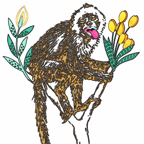 Item #33214034411836262507291954760655232584299209405953939231223639577301838987265 Media