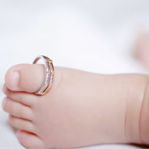 Untitled Collection #73134859