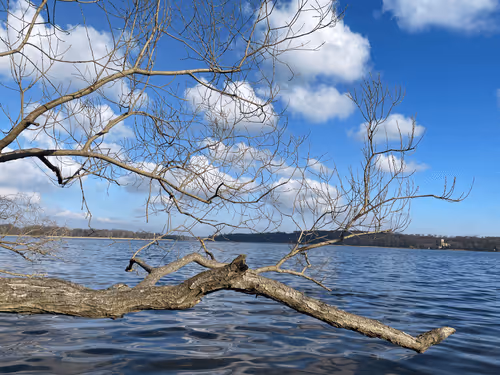 Item #35339417924445304267052449174579644074826086506751043788329225545532359835748 Media