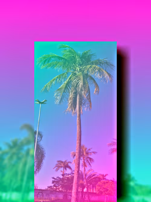 Item #102633933569336305763836549271015011022776893366332933197848722667551043092490 Media