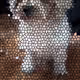 107643760086873134695454282191223111427569081045857005672190558285074865848321