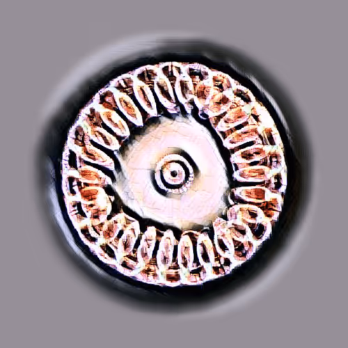 Item #76890309982572414559524539652653274915372995696638965878349557298932593197057 Media