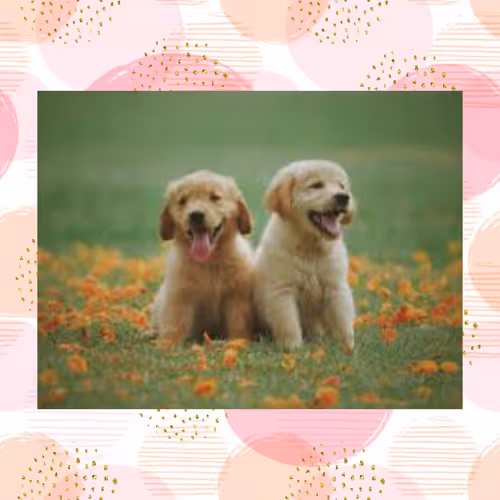 Item #108065665434435766760522700651324844344204555372000129092130959708826791575562 Media