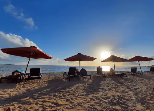 Untitled Collection #173279751