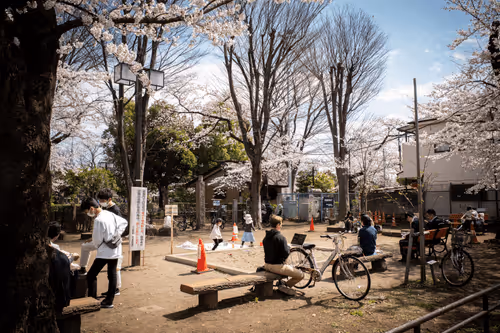 Item #81684501140492858777402859742317364008042896082831459981344055717664554745857 Media