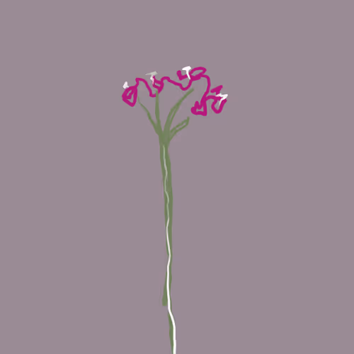 Item #14644956714053790775735979633952916330311291529078626702461221445371814739969 Media