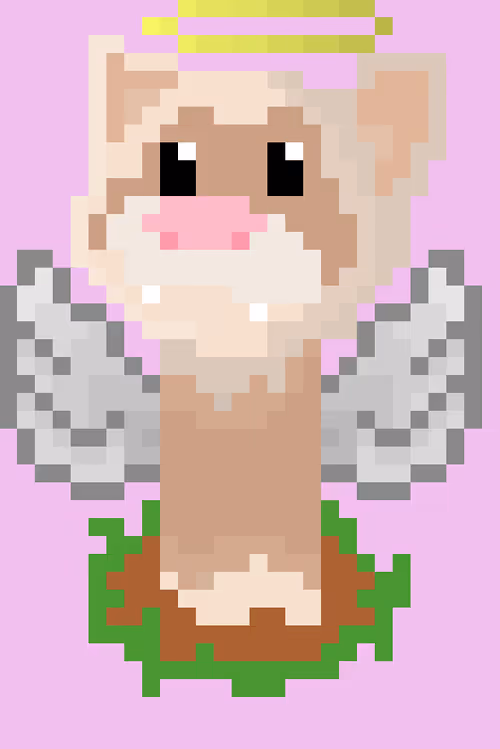 Item #68577173208289226237825323746125813224376031488648313107189855760569759432705 Media