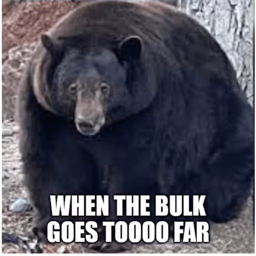 88568704559234525769196153094528870241294849623548788281519482664328712159233