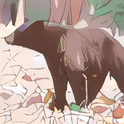 Item #100699266862010265980474664760375873767511284921164942724068626658932566261761 Media