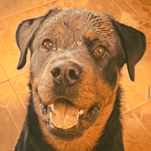 Item #7678098862480869732198640215548033609718490980890964392803254898317028491314 Media