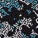 101701094206175850218338394222111736152098102952512760406699235705773285703681