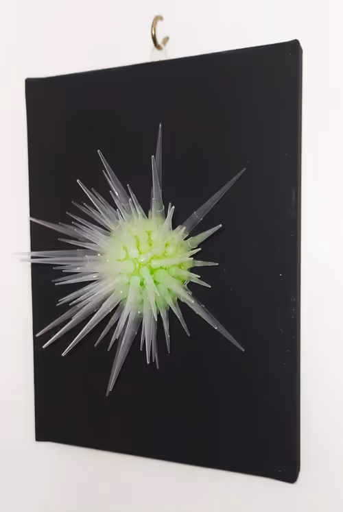 Item #108955583872739655741702358868652756405273862791069305959596897681915670167562 Media