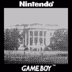 USA 🇺🇸 - The White House