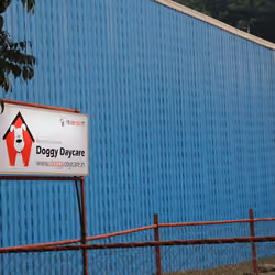 Doggy Daycare Billboard 