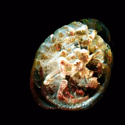 Item #4750064852715738149564930854294668621974194112560083604087540665473336082433 Media