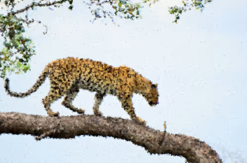 Item #84847574650965292404971500826691156411633346710644691667011505915923338887169 Media