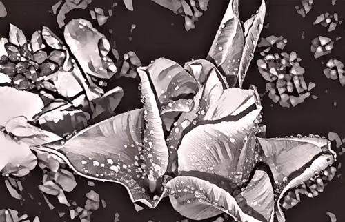 Item #7995611344247337094109922960175663296053708929602191470286983644496875487233 Media