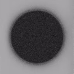 Black Moon